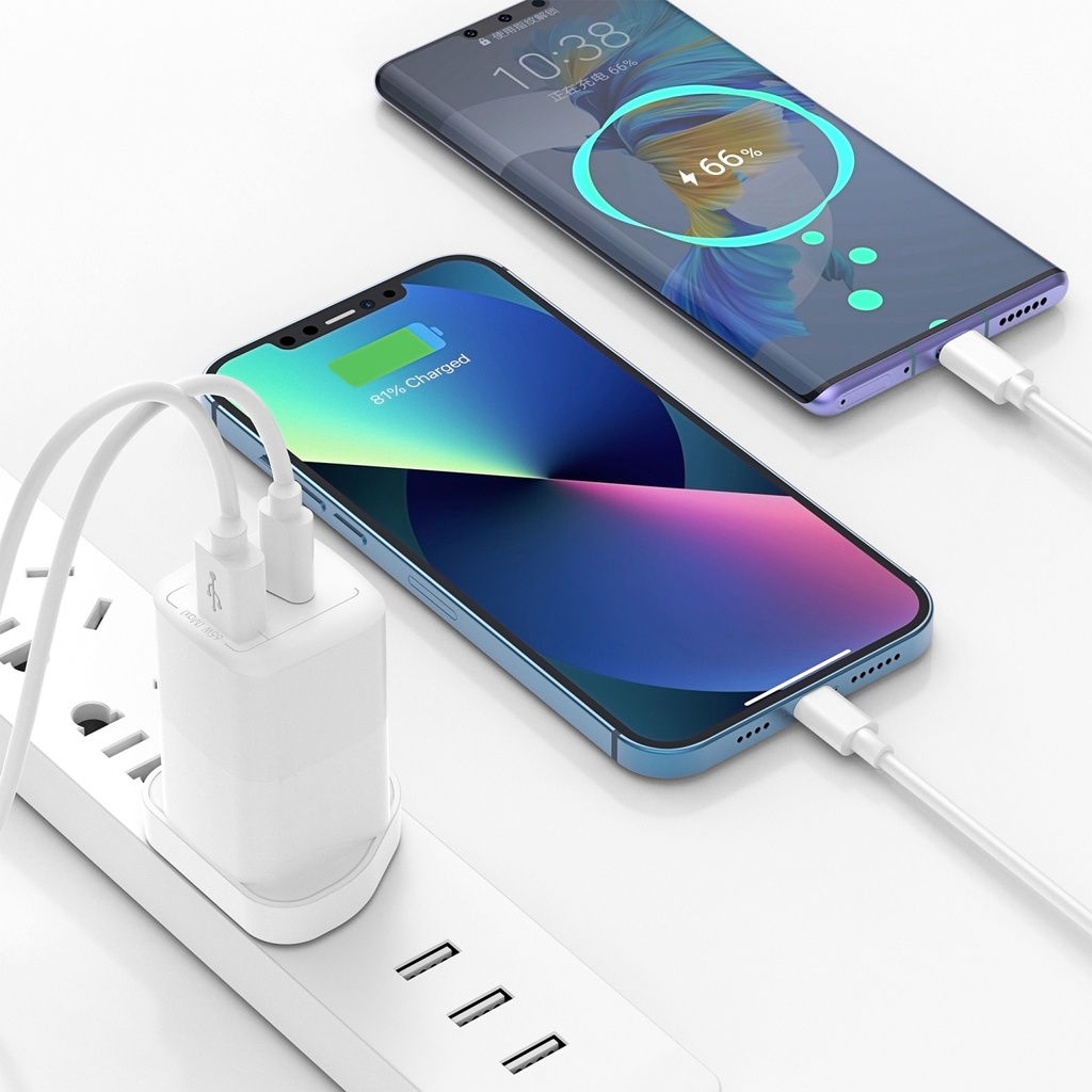 
WIWU Wi-U012 65W USB + USB-C / Type-C Dual Ports GaN Travel Fast Charger.