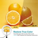 PULUZ 10.2 inch 26cm Light + Desktop Tripod Mount USB 3 Modes Dimmable Dual Color Temperature LED Curved Diffuse Light Ring Vlogging Selfie Photography Video Lights with Phone Clamp & Selfie Remote Control.