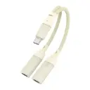 60W 2 in 1 Type-C to Dual Type-C Audio Adapter