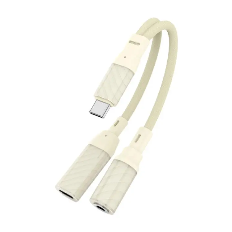 60W 2 in 1 Type-C to Type-C and 3.5mm Audio Adapter