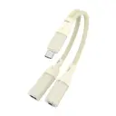 60W 2 in 1 Type-C to Type-C and 3.5mm Audio Adapter