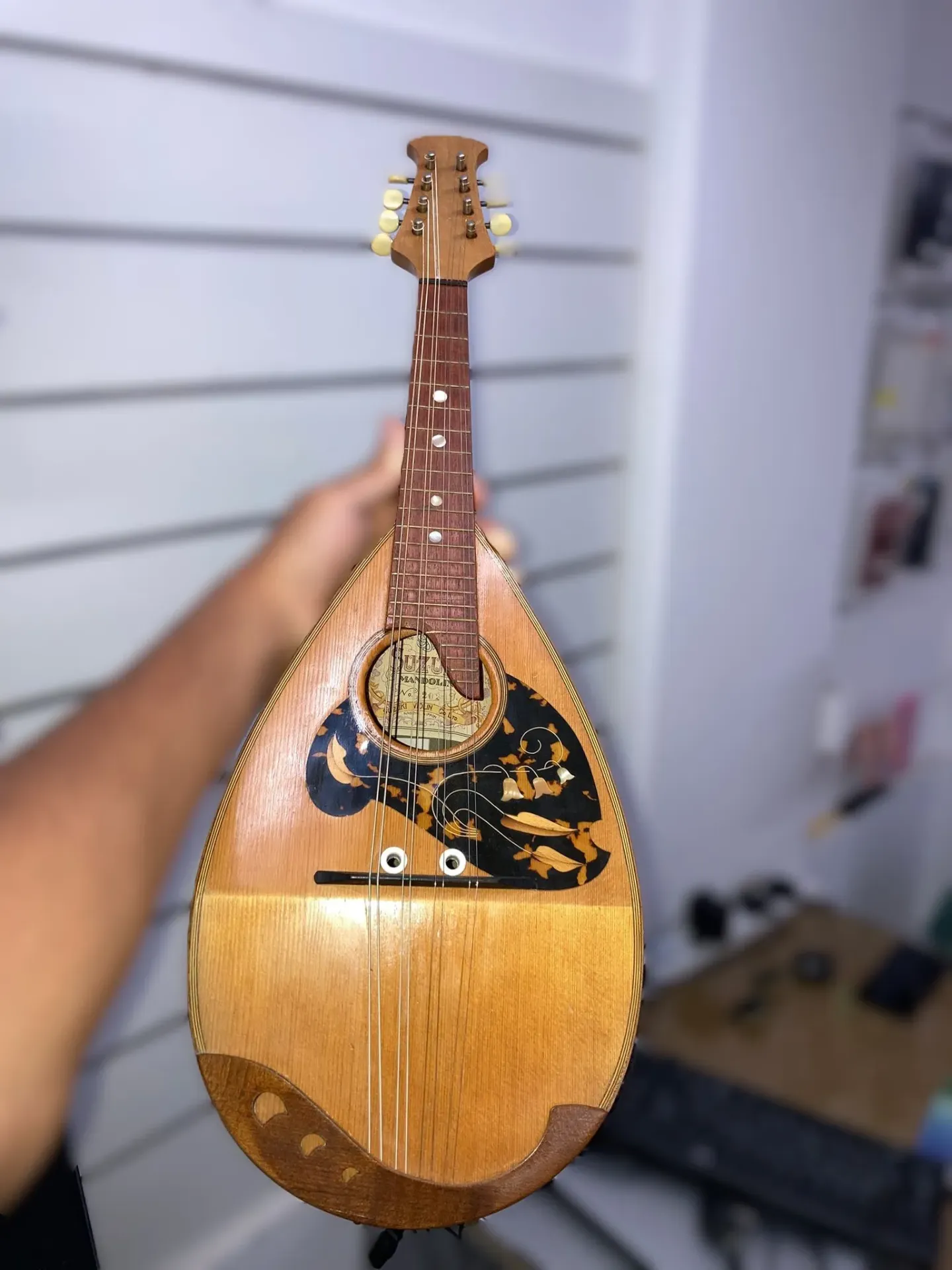 Vintage Suzuki Mandolin No 202