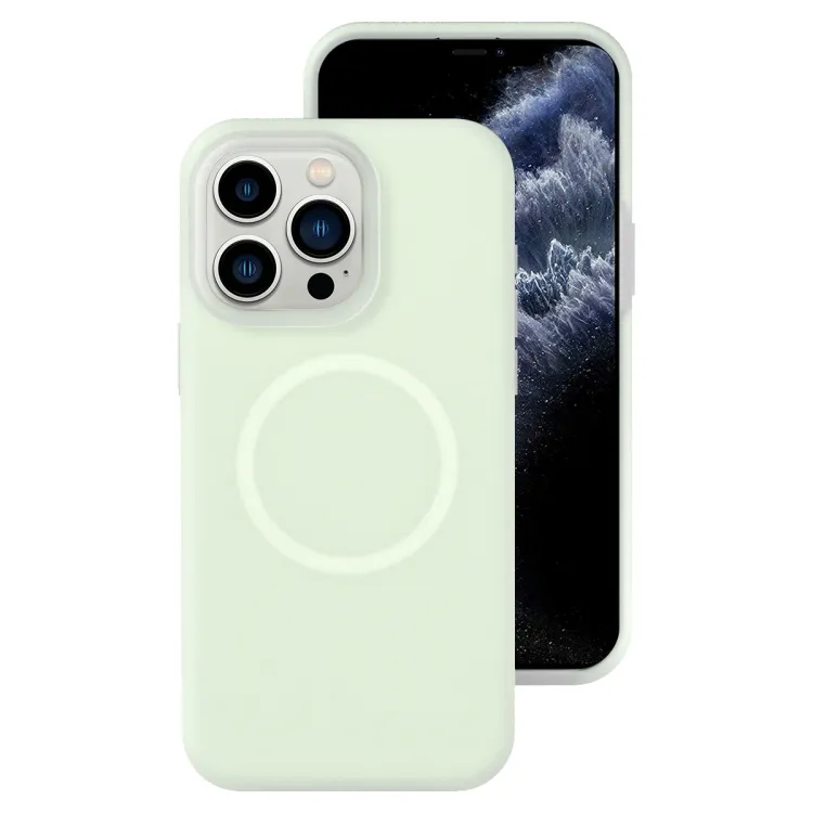 For iPhone 11 Pro Jelly Liquid Silicone MagSafe Magnetic Phone Case (Mint Mambo)