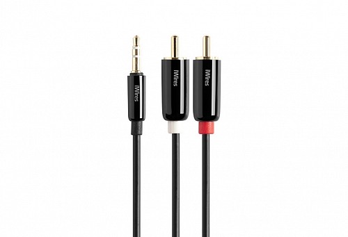 Techlink iWires 3.5mm to 2RCA.